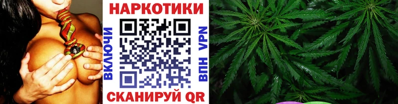 Альфа ПВП Череповец