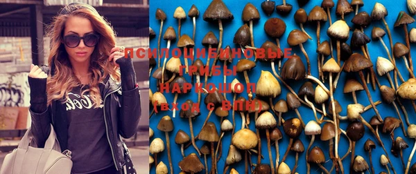 прущая мука Осинники