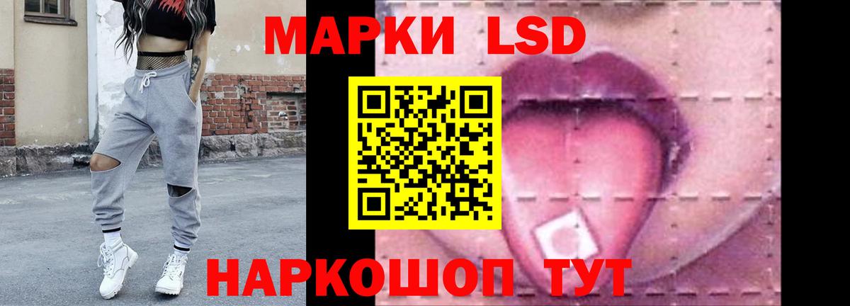 Альфа ПВП Череповец