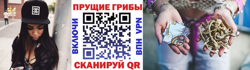 продажа наркотиков  Череповец  Псилоцибиновые грибы GOLDEN TEACHER 
