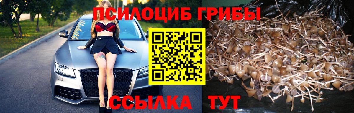 Галлюциногенные грибы MAGIC MUSHROOMS Череповец
